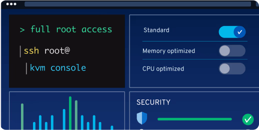 Illustration einer Server-Konsole mit Befehlen für SSH-Zugriff, Leistungsoptionen und Sicherheitsanzeige.