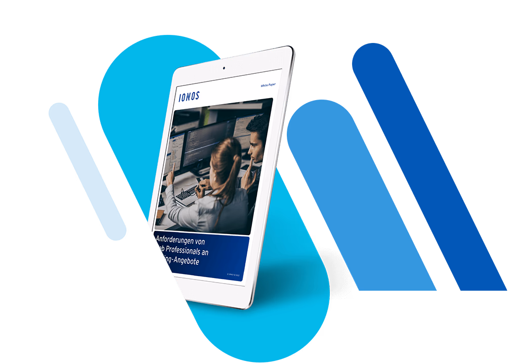 eBook Anforderungen von Web Professionals an Hosting Angebote