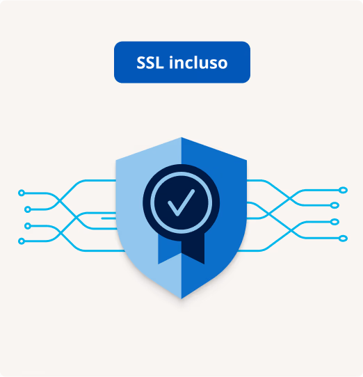 Certificato SSL incluso per una protezione sicura del dominio.