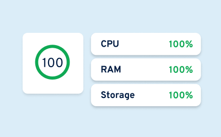 Anzeige „100 %“ für CPU, RAM und Storage: steht für maximale Leistung mit vollständig dedizierten Ressourcen.