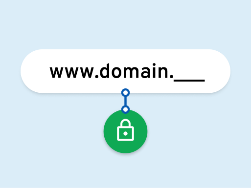 Domain mit Schloss-Symbol: steht für eine geschützte und gesicherte Domain.