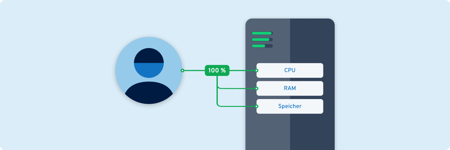Nutzer mit 100 % zugewiesenen Ressourcen (CPU, RAM, Speicher) auf einem Server: steht für dedizierte Leistung ohne geteilte Hardware.