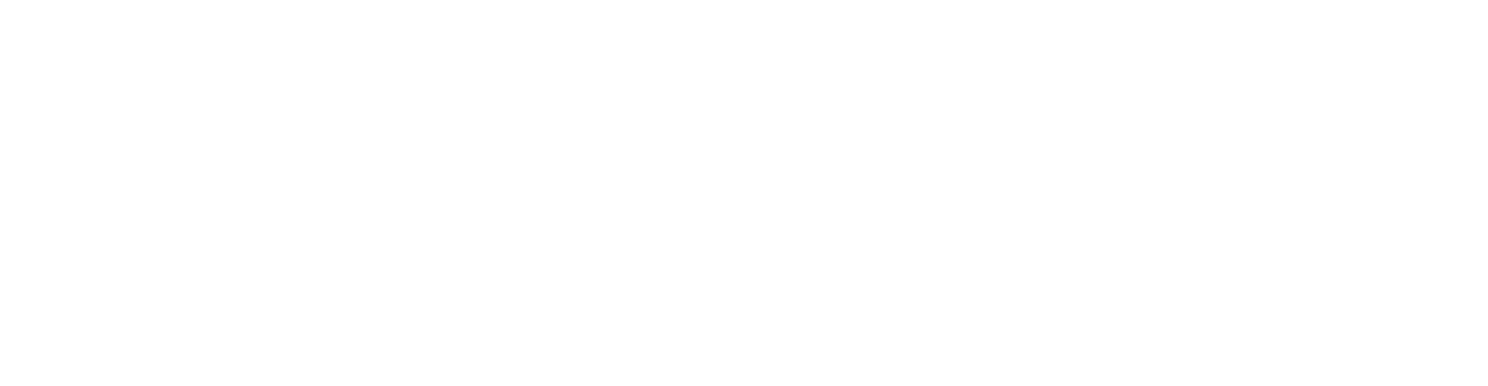 .love domain logo in white big